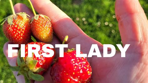 First Lady June 15 2022 .